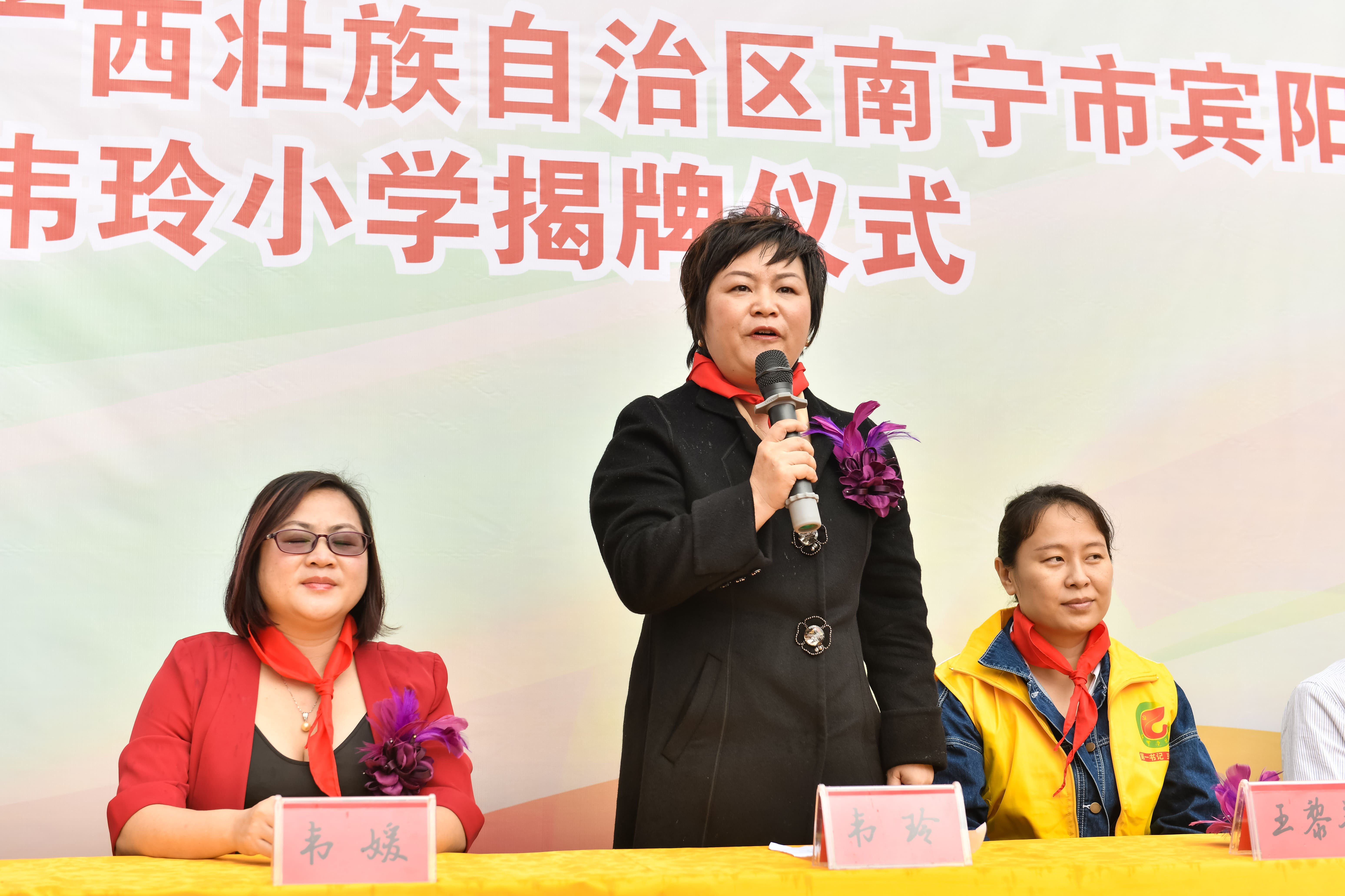 第184所 南宁市宾阳县思陇镇昆仑村乐动注册韦玲小学 第184所 南宁市宾阳县思陇镇昆仑村乐动注册韦玲小学
