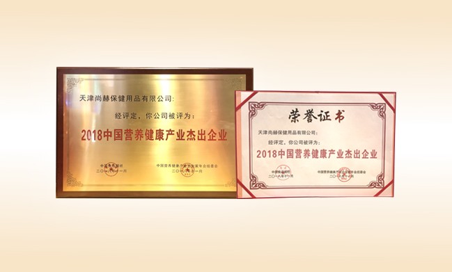 2018年11月-乐动注册公司荣获-2018中国营养健康产业杰出企业