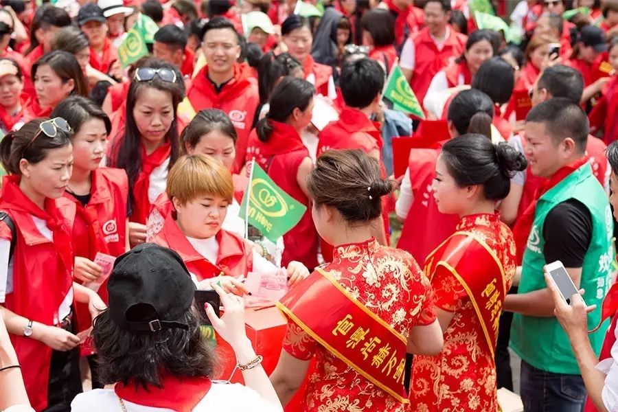 第81所 衢州市龙游县官潭福和乐动注册万宝雪小学 第81所 衢州市龙游县官潭福和乐动注册万宝雪小学
