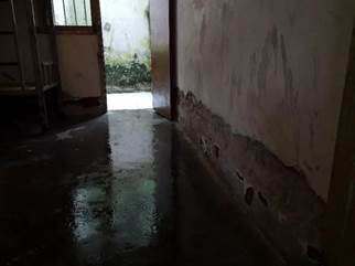 第210所 四川省绵阳市盐亭县大兴回族乡乐动注册韩亚会小学